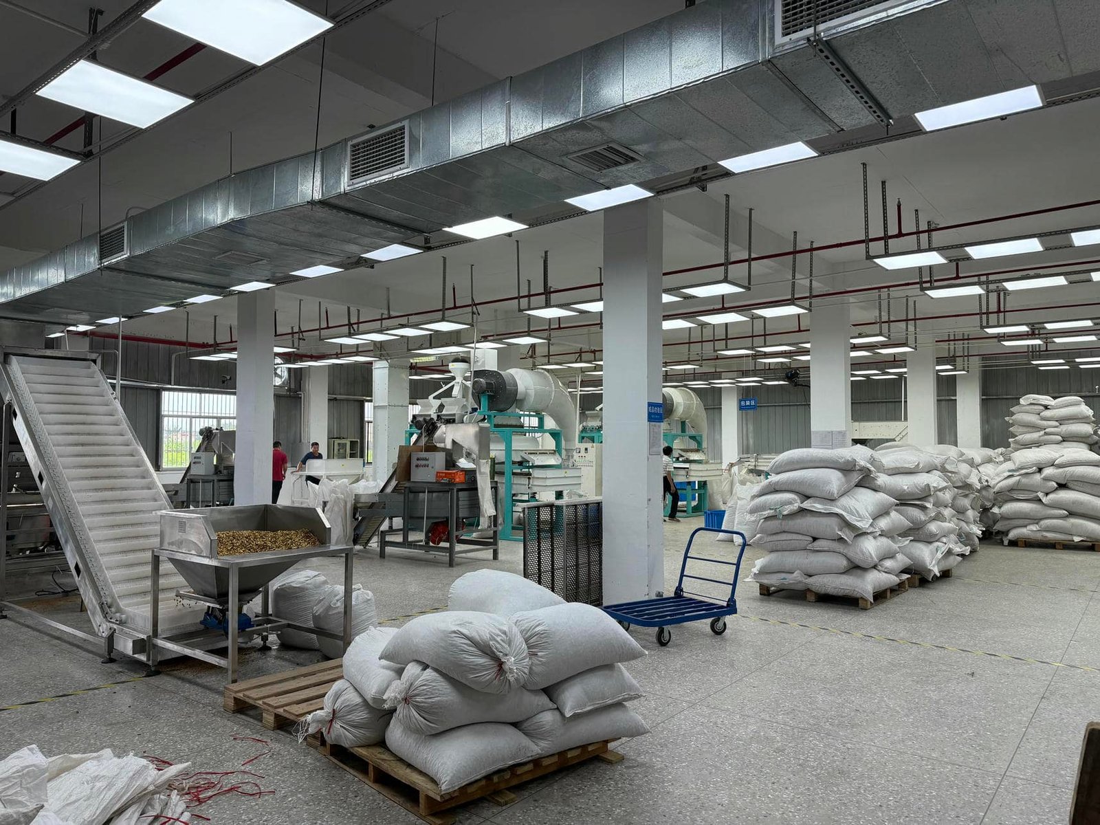 The production process of